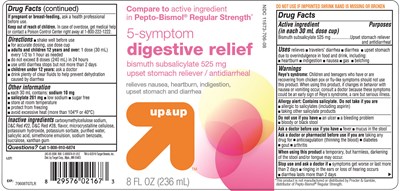 Up And Up Pepto Bismol Regular Strength (302 Uw Digestive Relief)